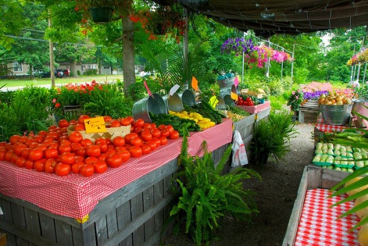 Why it’s better to buy organic?
